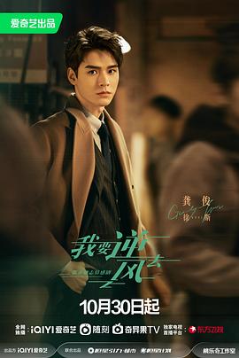 青铜峡seo推广优化